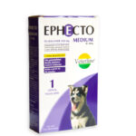 Ephecto Medium
