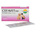 Cefavet 300