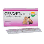 Cefavet 600