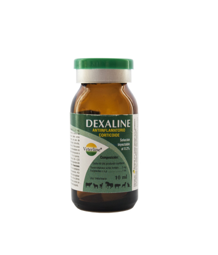 Dexaline-INY-10-ml DEXALINE INY 10 ML - Imagen 1