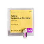 FELLOCEL FELV X (LEUCEMIA FELINA)