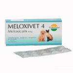 MELOXIVET 4
