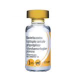 RECOMBITEK C 8 X1D