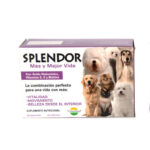 SPLENDOR 60 TAB