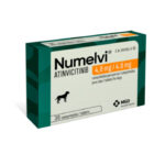 NUMELVI 4.8